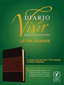 DIARIO VIVIR